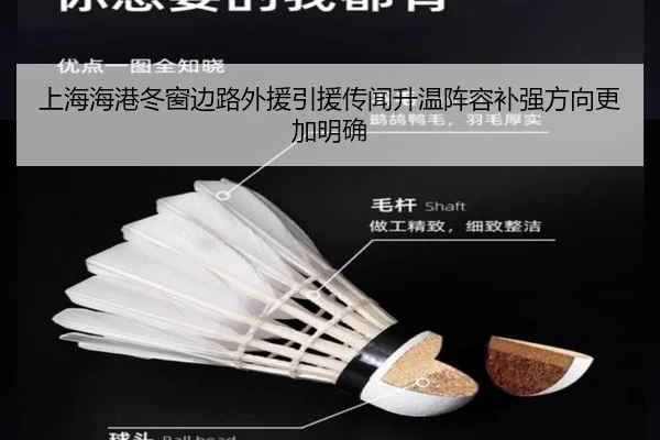 上海海港冬窗边路外援引援传闻升温阵容补强方向更加明确